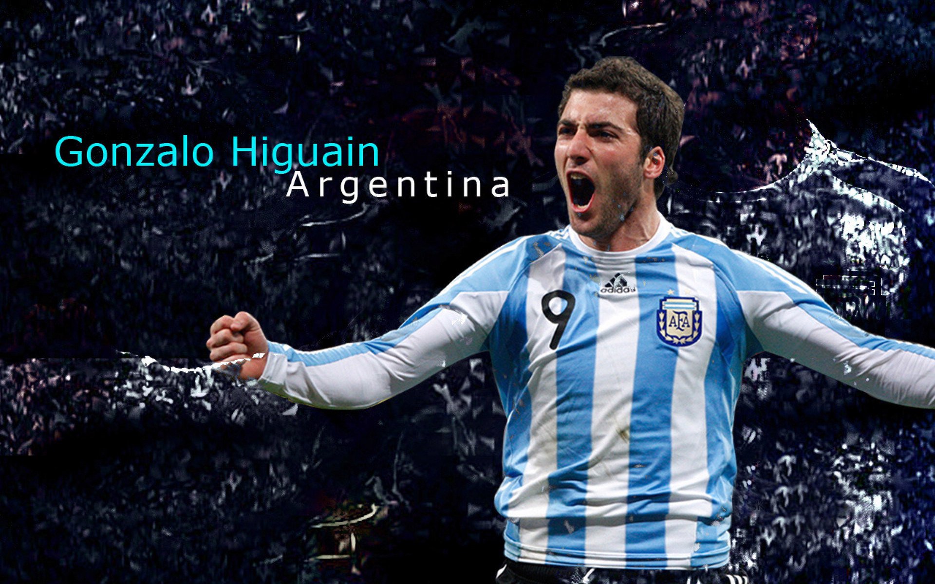 开云品牌-德甲激烈，球迷留言支持，德甲消息